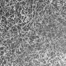 Neurona